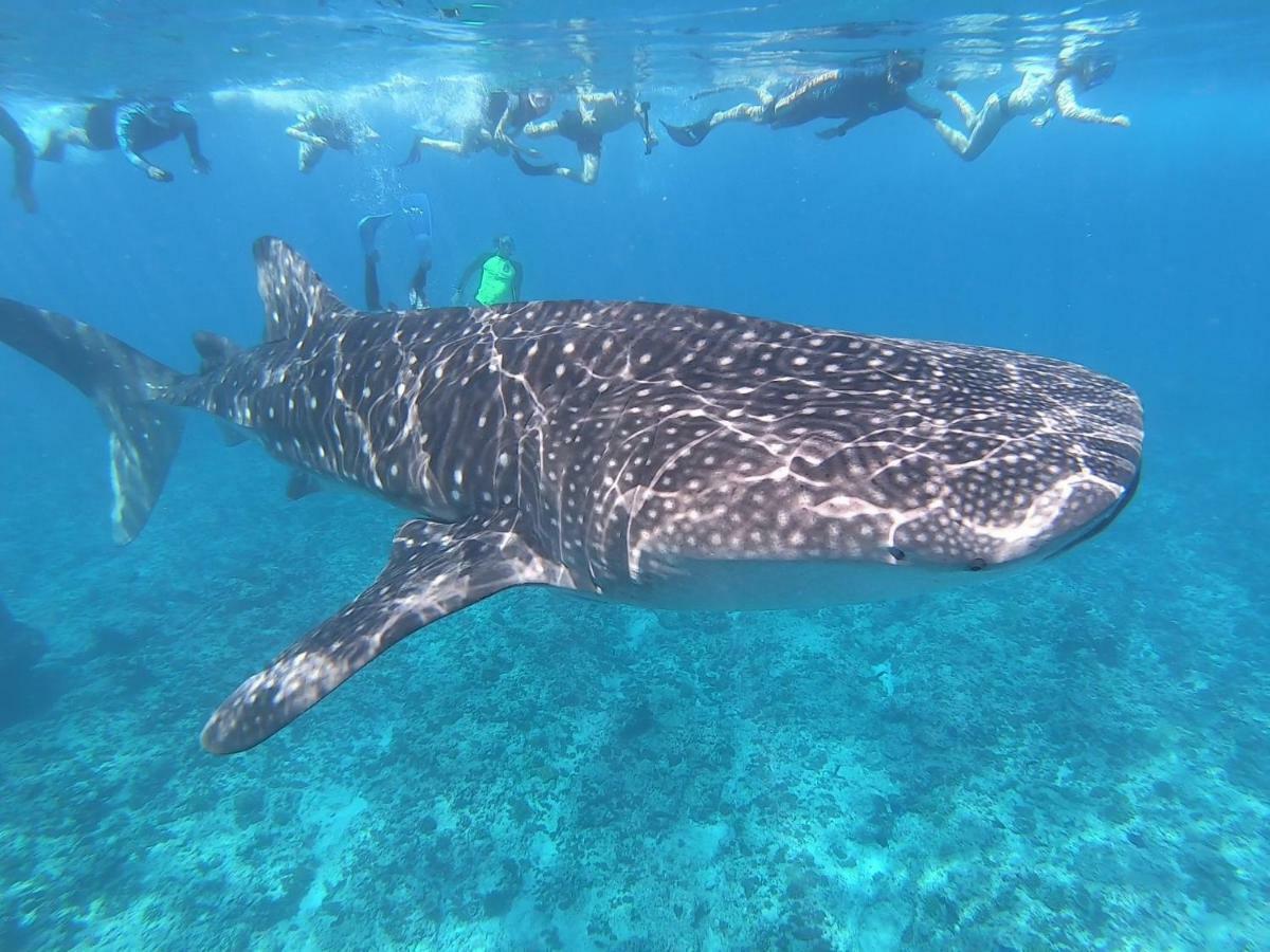Lagoon View Maldives Bodufolhudhoo Dış mekan fotoğraf